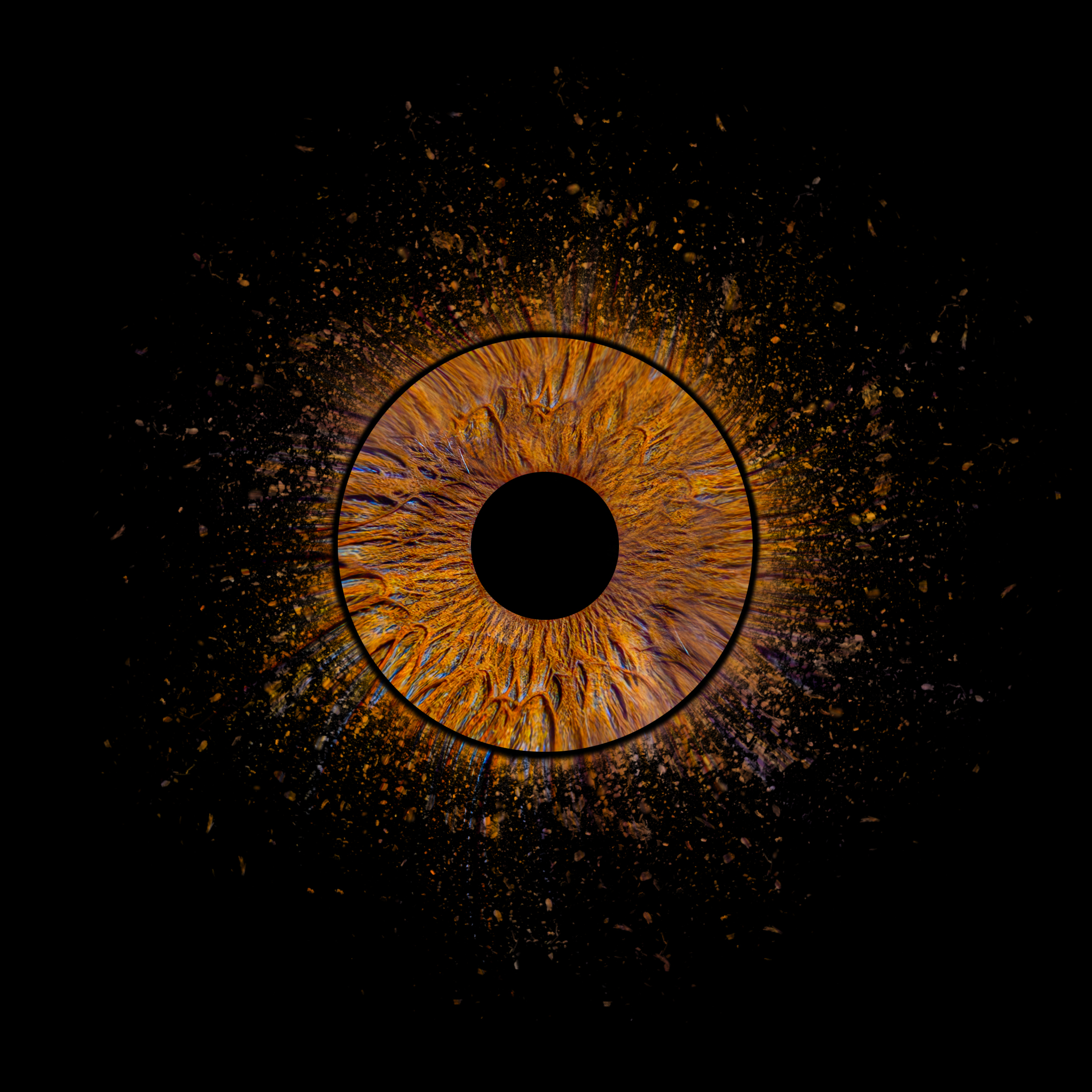 Photographe Bébé Haute-Vienne