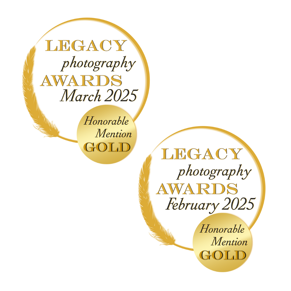 Photographe Nouveau-Né Limoges