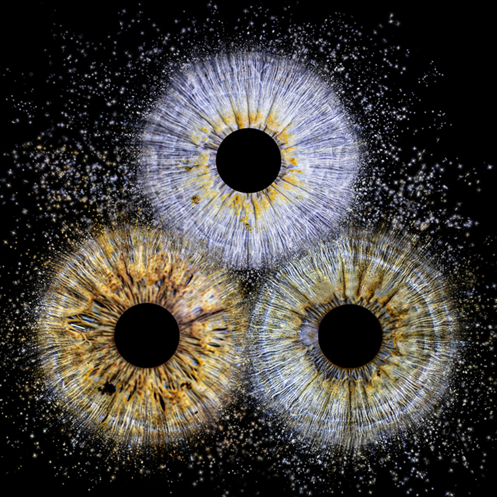 Photographe Bébé Haute-Vienne